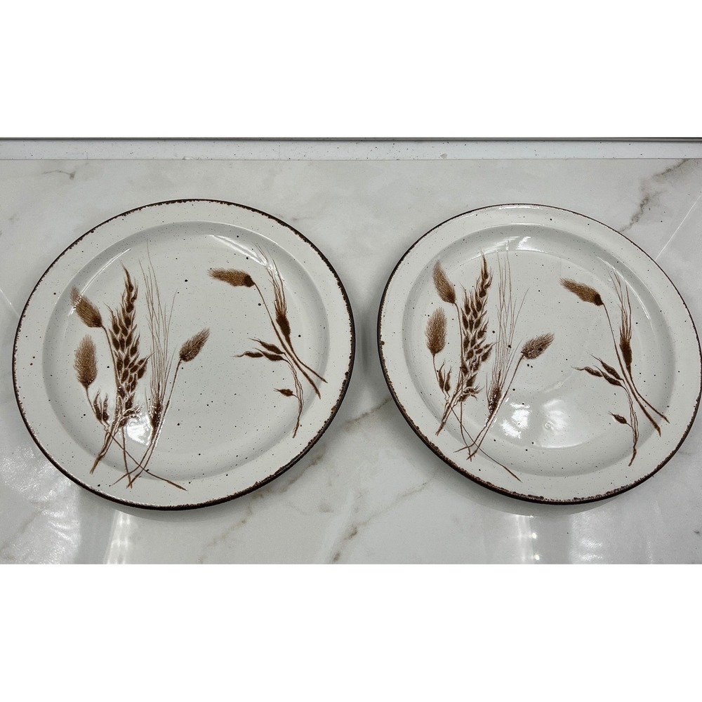 VTG Midwinter Stonehenge Wild Oats Dinner Plates England Stoneware 10"- Set
